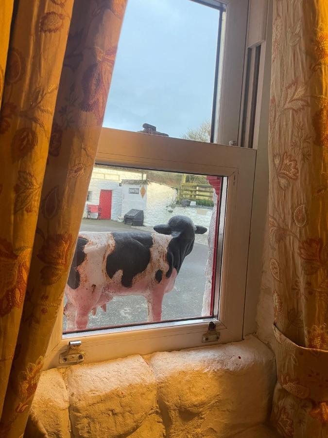 Nellie'S Farmhouse Carlingford Dış mekan fotoğraf